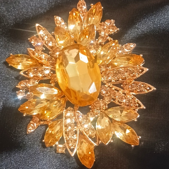 Dillard's Accessories - Beautiful Brooch Pin!
